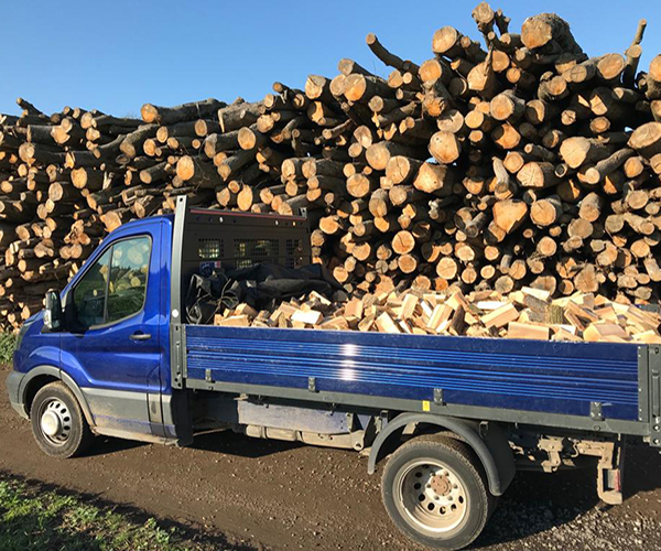 Logs loaded onto lorry